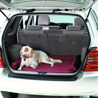 Cargo Area Pet Pad